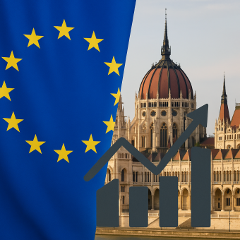 “Investment” and “Establishing a Newco” in Hungary